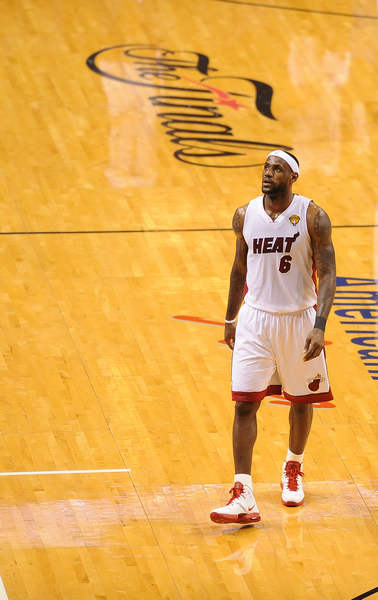 日本新星的 日本新星的